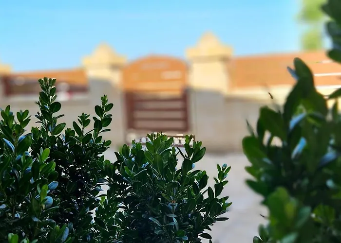 Le Stelle Di Nonna Anna * Monopoli