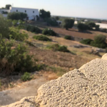 Le Stelle Di Nonna Anna *