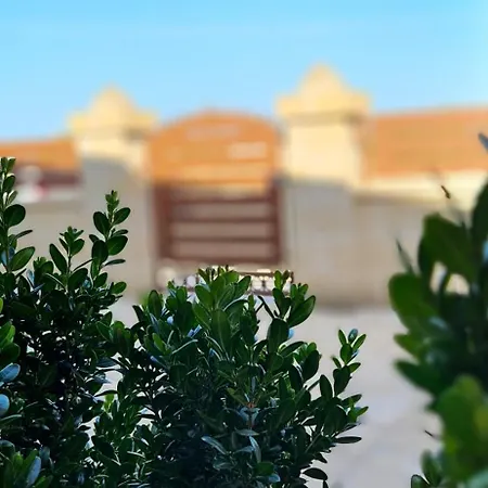 Le Stelle Di Nonna Anna * Monopoli